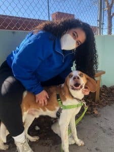 Geoff Mcdonald & Associates Participated In The Richmond Spca Annual Dog Kissing Booth 3 Unnamed 2