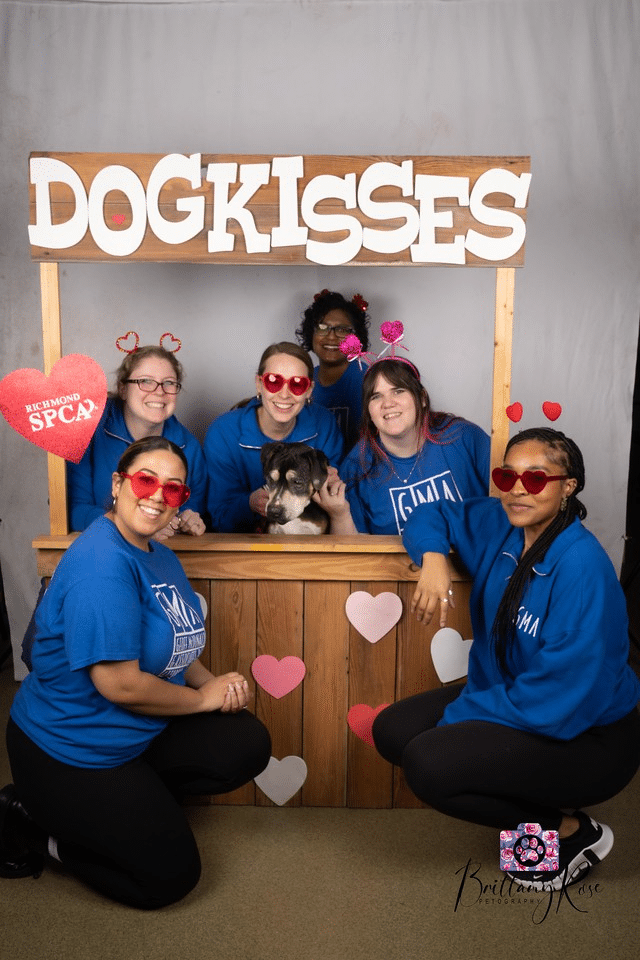 Geoff Mcdonald And Associates Team Volunteers At Spca Kissing Booth Fundraising Event 1 Geoff mcdonald and associates team spca dog kissing booth fundraising event